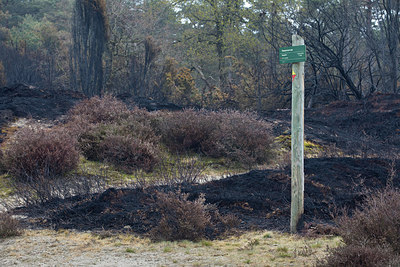 BUITEN BEELD Foto: 293576