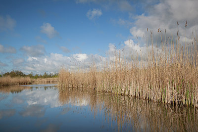 BUITEN BEELD Foto: 293618