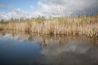 BUITEN BEELD Foto: 293619