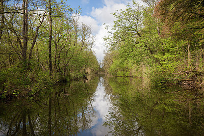 BUITEN BEELD Foto: 293620