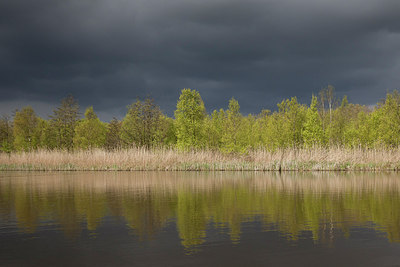 BUITEN BEELD Foto: 293622