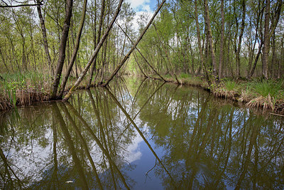 BUITEN BEELD Foto: 293623