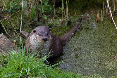 BUITEN BEELD Foto: 293636