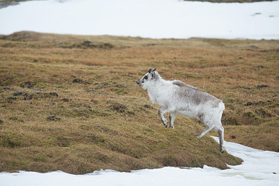 BUITEN BEELD Foto: 293688