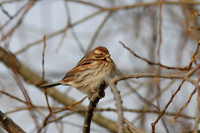 BUITEN BEELD Foto: 293697