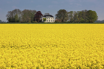 BUITEN BEELD Foto: 293794