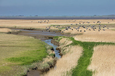 BUITEN BEELD Foto: 293808