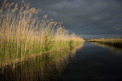 BUITEN BEELD Foto: 293816