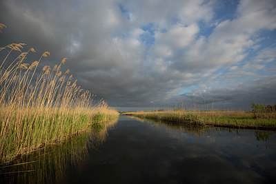 BUITEN BEELD Foto: 293817