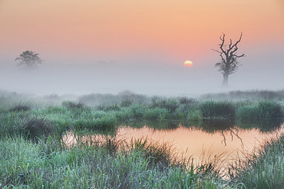 BUITEN BEELD Foto: 293970