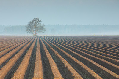 BUITEN BEELD Foto: 293972