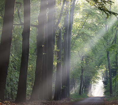 BUITEN BEELD Foto: 294014