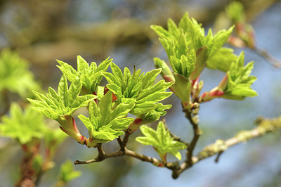 BUITEN BEELD Foto: 294027