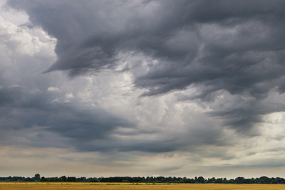BUITEN BEELD Foto: 294046