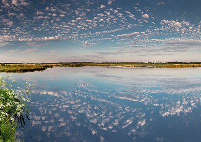 BUITEN BEELD Foto: 294143