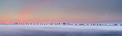 BUITEN BEELD Foto: 294148