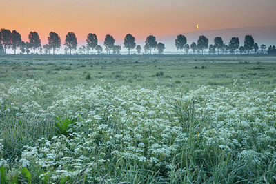 BUITEN BEELD Foto: 294149