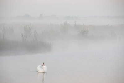 BUITEN BEELD Foto: 294151