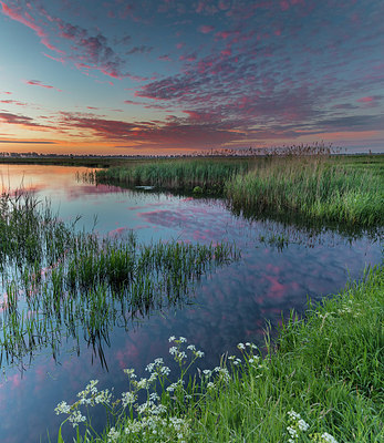 BUITEN BEELD Foto: 294159