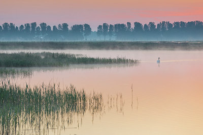 BUITEN BEELD Foto: 294174