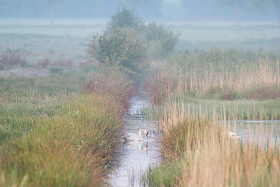 BUITEN BEELD Foto: 294193