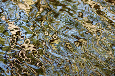 BUITEN BEELD Foto: 294202