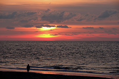 BUITEN BEELD Foto: 294208