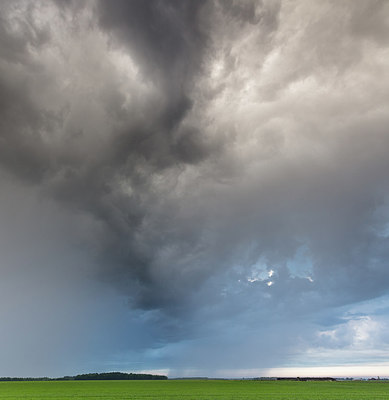 BUITEN BEELD Foto: 294256