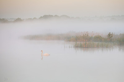 BUITEN BEELD Foto: 294260