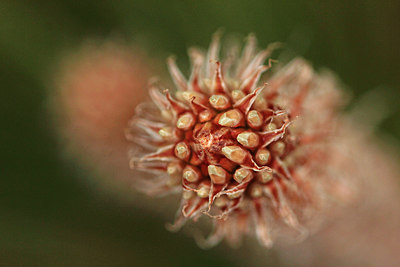 BUITEN BEELD Foto: 294283