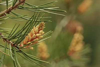 BUITEN BEELD Foto: 294302