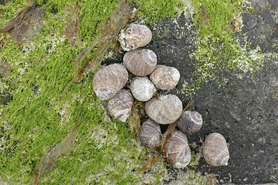 BUITEN BEELD Foto: 294358