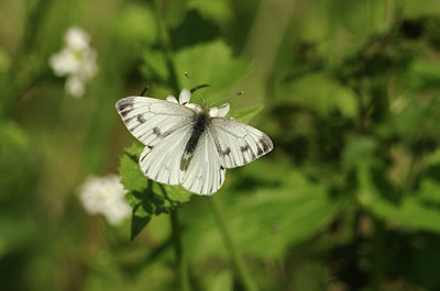 BUITEN BEELD Foto: 294387