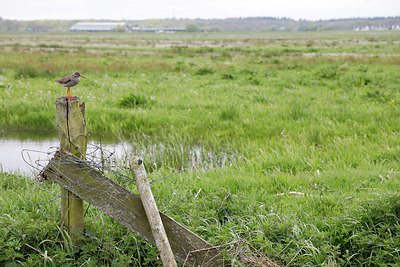BUITEN BEELD Foto: 294423