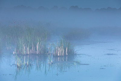 BUITEN BEELD Foto: 294440