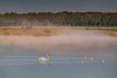 BUITEN BEELD Foto: 294442