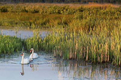 BUITEN BEELD Foto: 294443