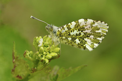 BUITEN BEELD Foto: 294458