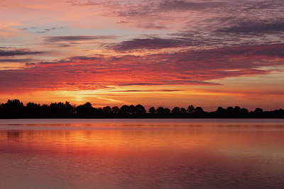 BUITEN BEELD Foto: 294486