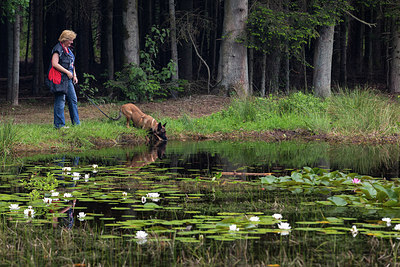 BUITEN BEELD Foto: 294536