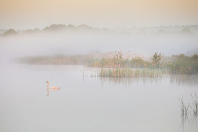 BUITEN BEELD Foto: 294546