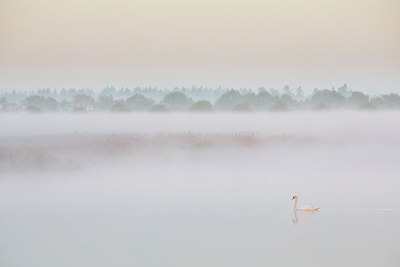 BUITEN BEELD Foto: 294547