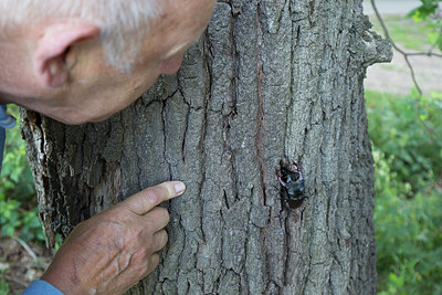 BUITEN BEELD Foto: 294574