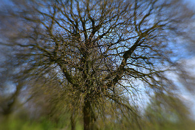 BUITEN BEELD Foto: 294592