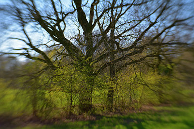 BUITEN BEELD Foto: 294593
