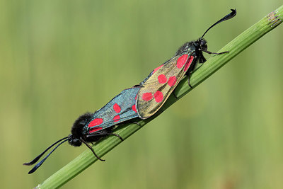 BUITEN BEELD Foto: 294623