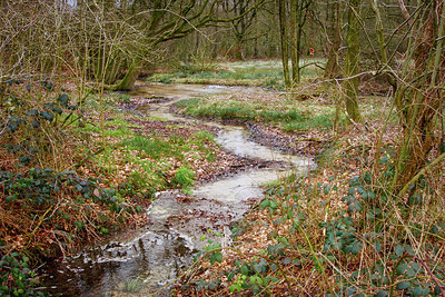 BUITEN BEELD Foto: 294656