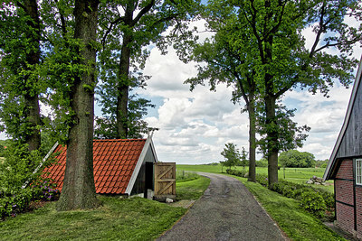 BUITEN BEELD Foto: 294657