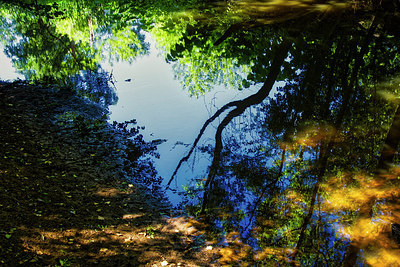 BUITEN BEELD Foto: 294661