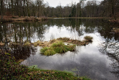 BUITEN BEELD Foto: 294665
